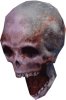 Flying_Skull_DXC.png